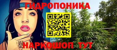 твердый Гусев