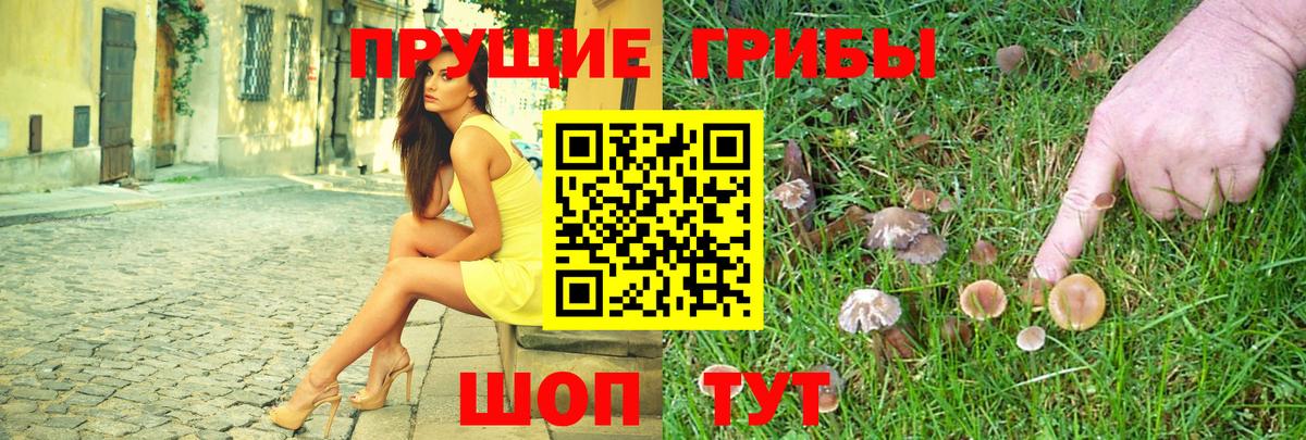 Галлюциногенные грибы Magic Shrooms  Вход с VPN  где найти наркотики  Кстово 