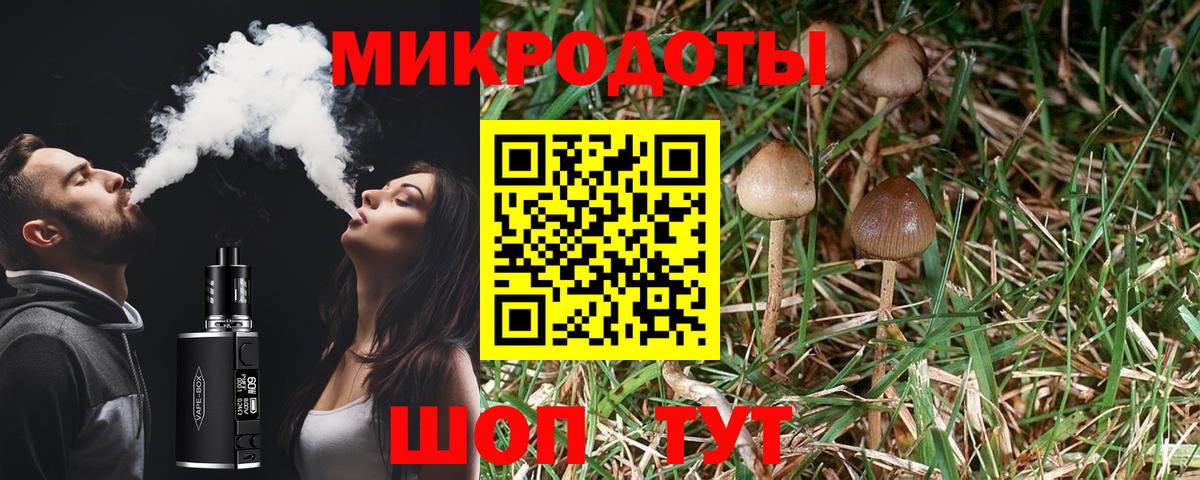 Псилоцибиновые грибы прущие грибы Кстово